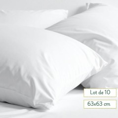 Taies d’Oreiller Carrées 63x63 cm – 80% Coton 20% Polyester, Blanc – Hôtels, Gîtes & Airbnb - Lot de 10