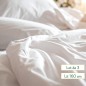 Draps Plats Blancs Polycoton –  Lit 2 Places Queen size (160)  – Lot de 3